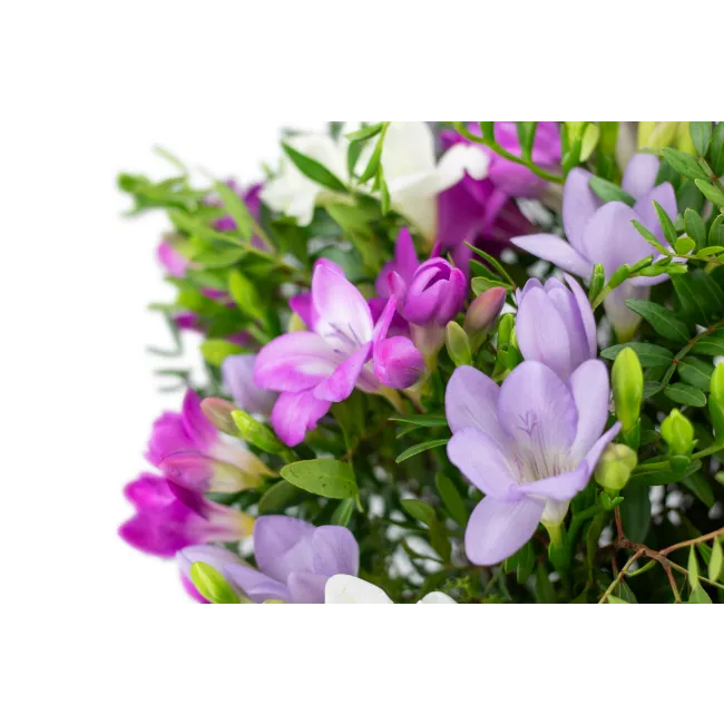 bouquet of freesia